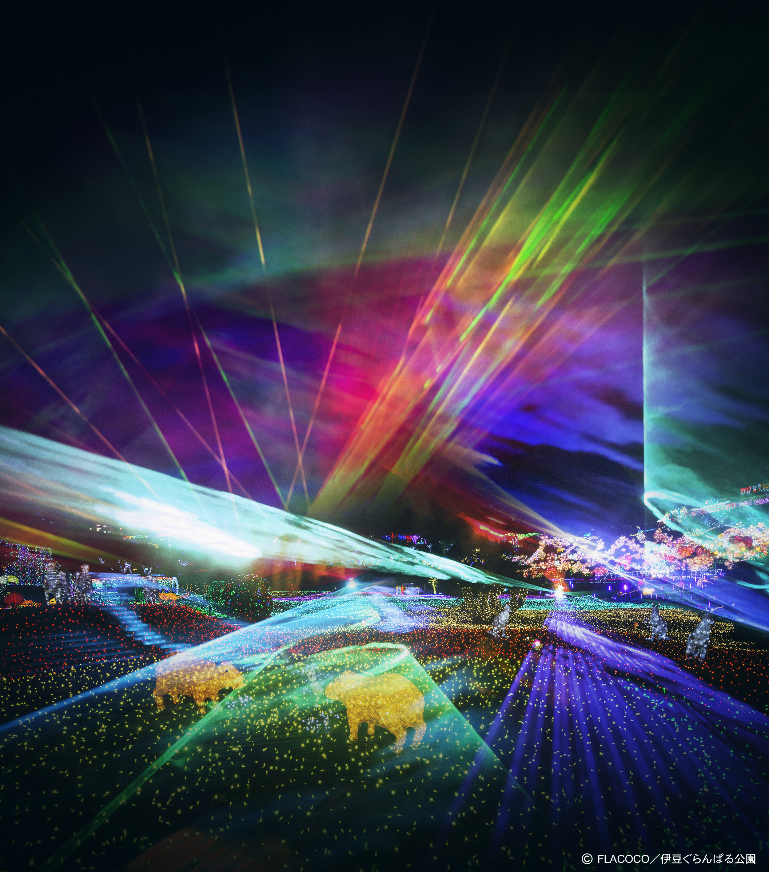 体験型イルミネーション「グランイルミ」 レーザーと音楽に包まれる