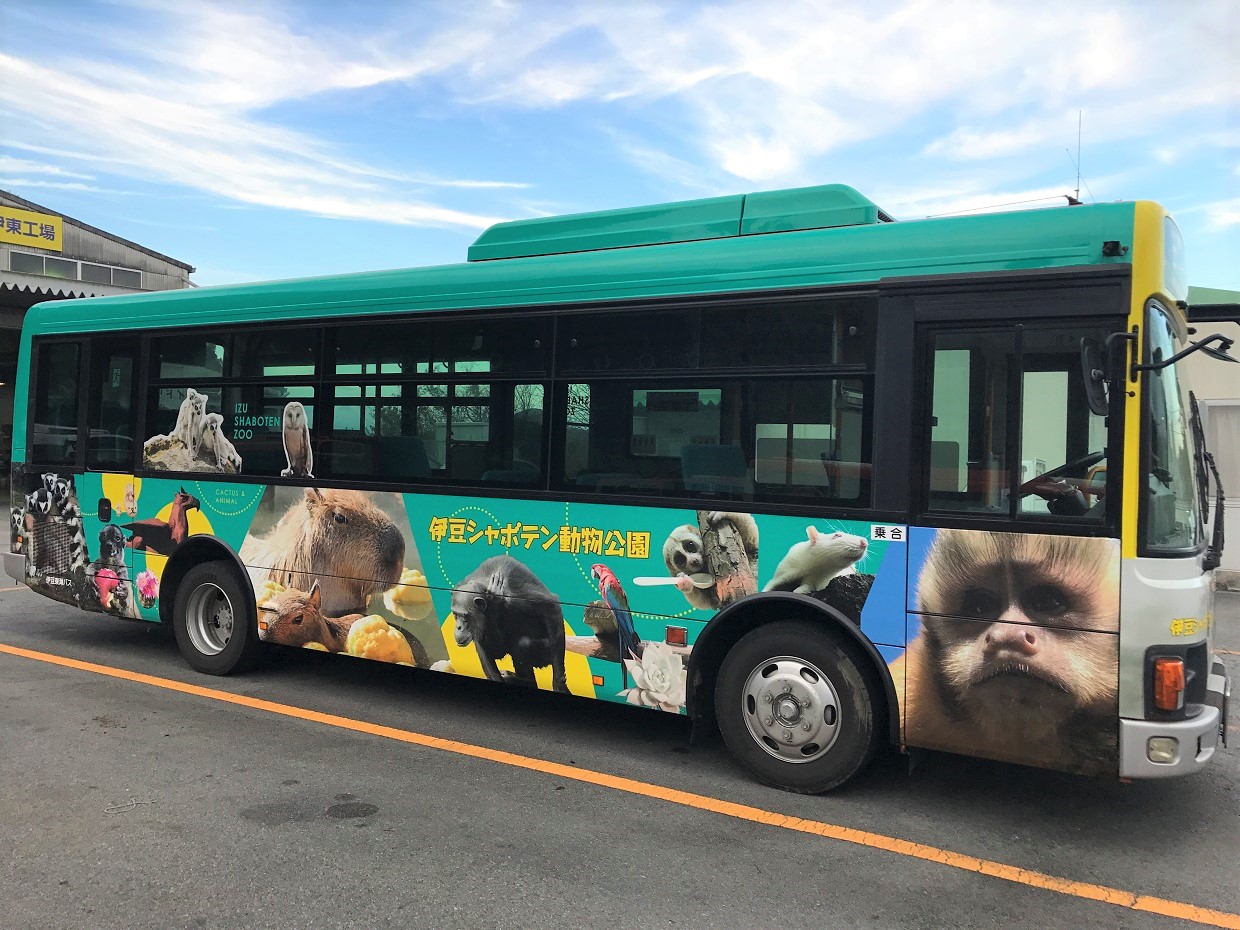 カピバラの露天風呂35 周年記念 伊豆シャボテン動物公園ラッピングバス 伊豆東海バスにて運行開始 伊豆シャボテン動物公園グループ ご来園者の笑顔のために