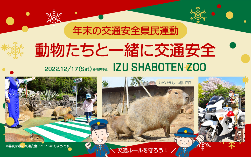 ご当地もの　カピバラさん根付ストラップ　２７個大量　くまモン　dr.イエロー ご当地もの カピバラさん根付ストラップ 27個大量 くまモン dr