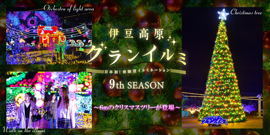 伊豆高原グランイルミ 9th season 6mの巨大クリスマスツリーが登場