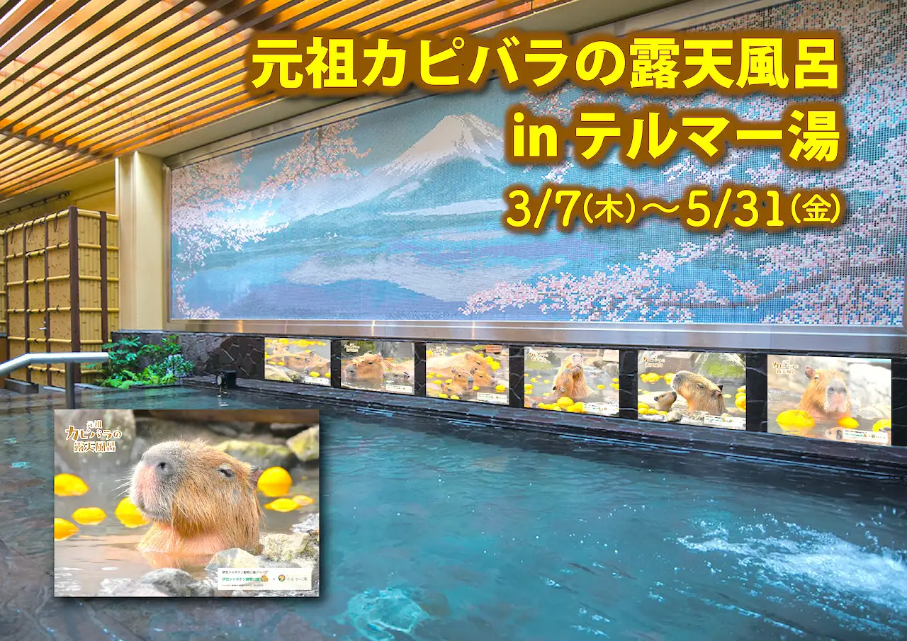 新宿天然温泉テルマー湯 × 伊豆シャボテン動物公園グループとのコラボ