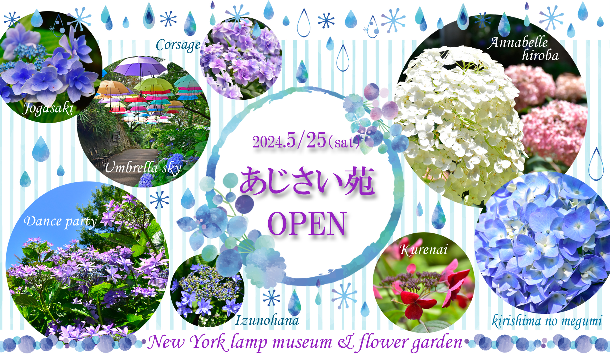 Anapia Antonini 花の市場 サインあり（Vert Point Online Shop