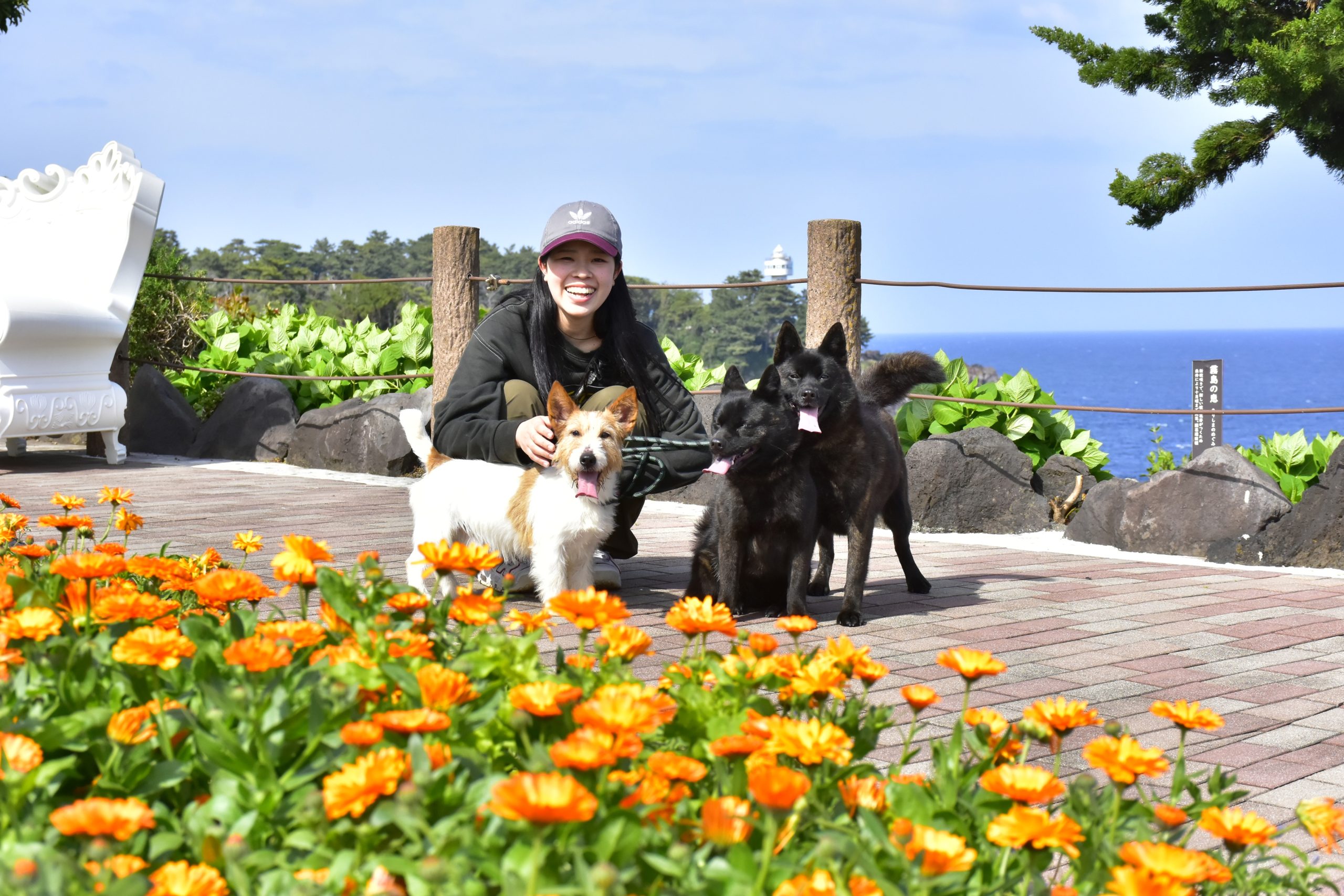 わんちゃん大歓迎♪ 愛犬と過ごすGW『WELCOMEわんちゃん』開催 | 伊豆