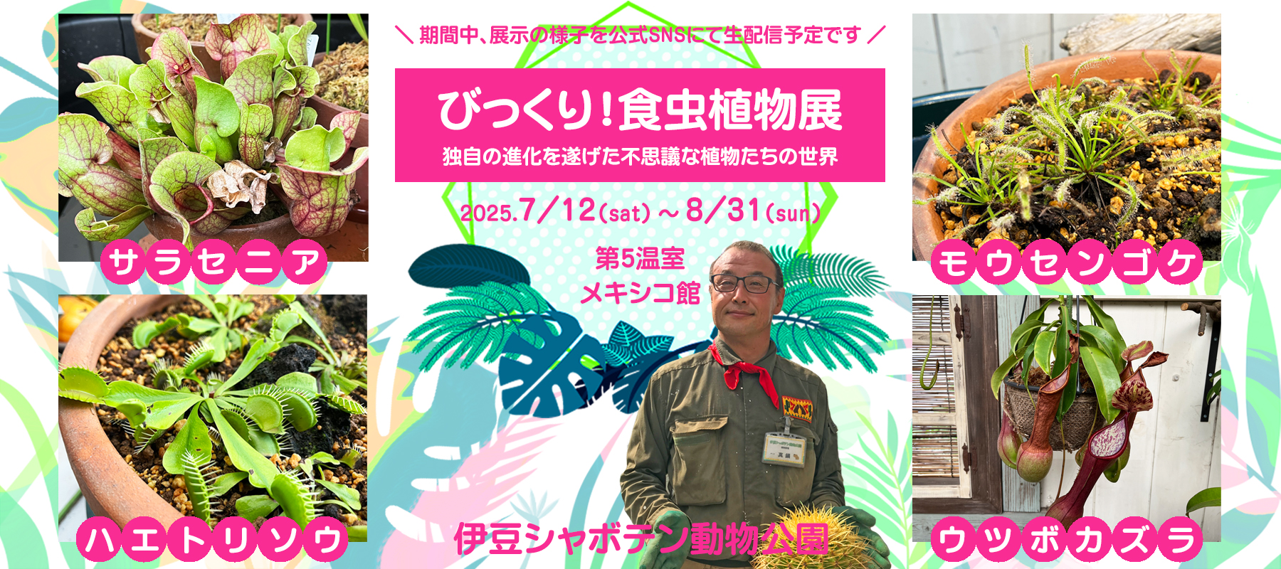 食虫植物　4種種7株 びっくり！食虫植物展」開催 ～独自の進化を遂げた不思議な植物たちの