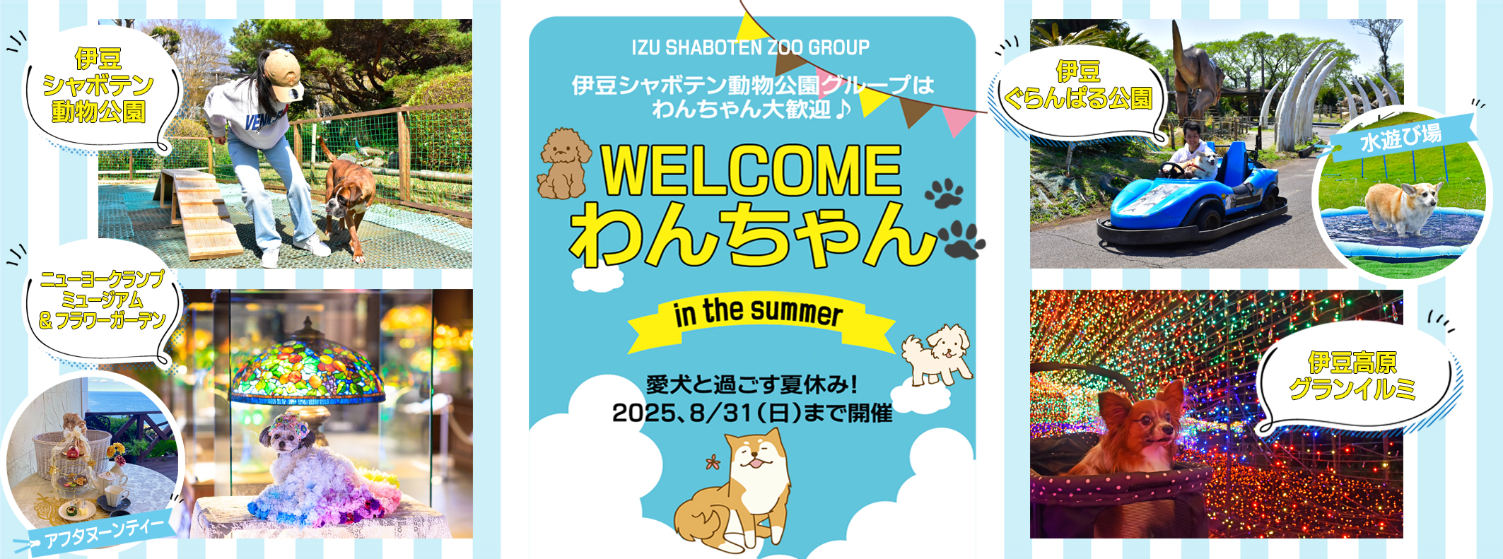 WELCOMEわんちゃんin the summer』 ～ 愛犬と過ごす夏休み！ 2025.8/31